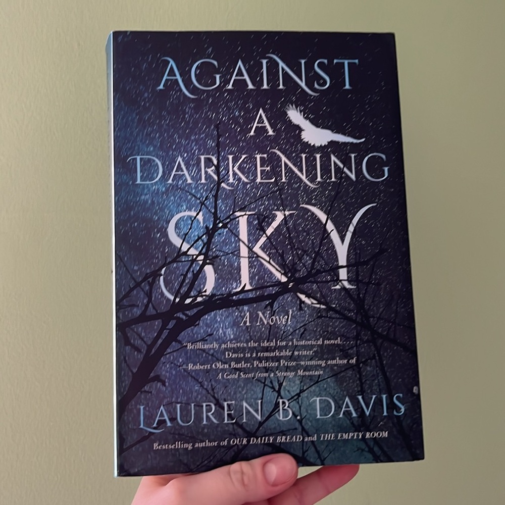 📚 4/25$ 📚
Against a darkening sky book | Booktok